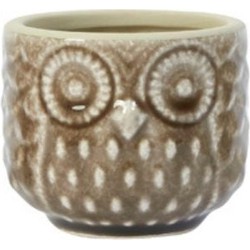 Cache-pot OWLY Petit Format - Marron / 6 cm