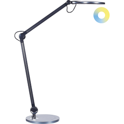 Beliani ERIDANUS - Bureaulamp-Zwart-Aluminium