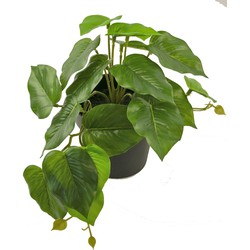 Greenmoods Kunstplant Scdapsus - Scindapsus pictus - Nep plant - 1 Stuk - 25cm