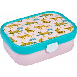 Lunchbox Campus leopard