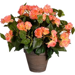 Mica Decorations Begonia Kunstplant in Bloempot Stan - H37 x Ø36 cm - Zalmroze