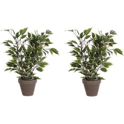 2x Groen/witte ficus kunstplanten 40 cm - Kunstplanten