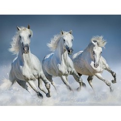 4x stuks witte paarden thema placemats 3D 30 x 40 cm - Placemats