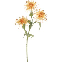 Kunstbloem Scabiosa Japonica 70 cm perzik