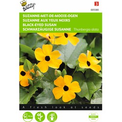 2 stuks - Thunbergia Alata Suzanne met de mooie ogen