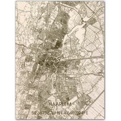 Houten Citymap Haarlem 70x50 cm 