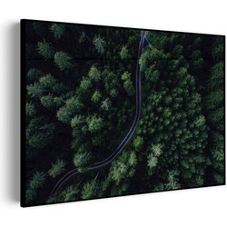 Muurwerken Akoestisch Schilderij - Weg door het bos - Geluidsdempend Wandpaneel - Wanddecoratie - Geluidsisolatie - BASIC (AW 0.65) S (70x50)