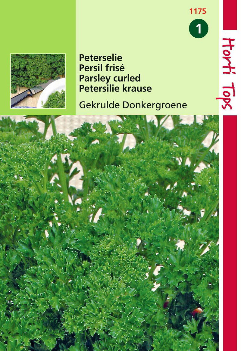 2 stuks - Peterselie - 