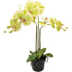 Orchidee kunstplant 3-tak 68 cm, groen