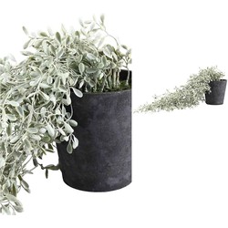 PTMD Buxushout Kunstplant - 40 x 20 x 20 cm - In pot - Groen