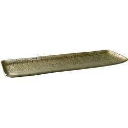 PTMD Chiva Rechthoek Plateau - 60 x 19 x 4 cm - Aluminium - Champagne