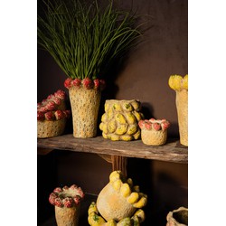 PTMD Bloempot Fruitsy - 21x21x20 cm - Terracotta - Rood