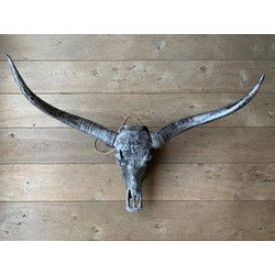 Longhoorn Skull Dierenhoofd - Dierenschedel voor aan de Muur - Bufffelschedel - Skulls Mancave - Longhoorn Zilver - 1 Meter