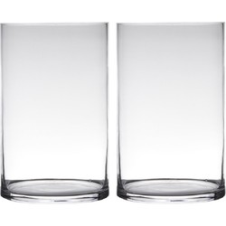 Set van 2x stuks transparante home-basics cylinder vorm vaas/vazen van glas 30 x 19 cm - Vazen