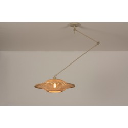 Hanglamp Lumidora 31229