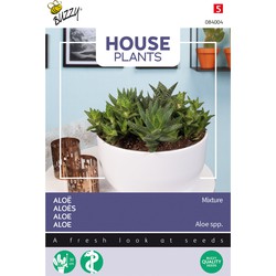 House Plants Aloe gemengde soorten - Buzzy