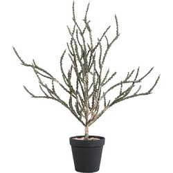 PTMD Kunsttak Sorghum - 37x46x50 cm - Gras - Zwart