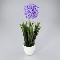 Plantje in keramiek pot Violet paars - Oosterik Home