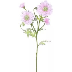 Scabiosa-Zweig Hellrosa 60 cm große Kunstpflanze - Buitengewoon de Boet