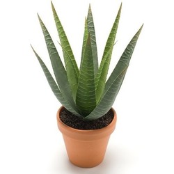 Groene kunstplant aloe vera succulent plant in pot - Kunstplanten