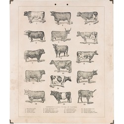 Wandkaart koeien 50x1x60 cm