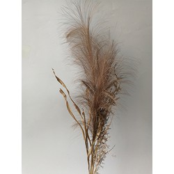 Pampas gras bosje met blad 75cm -bruin - Buitengewoon de Boet