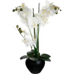 Atmosphera Kunstplant Orchidee - witte bloemen in pot - H53 cm - Kunstplanten