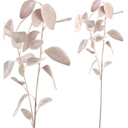 PTMD Leaves Plant Eucalyptus Kunsttak - 38 x 18 x 74cm - Velvet - Roze