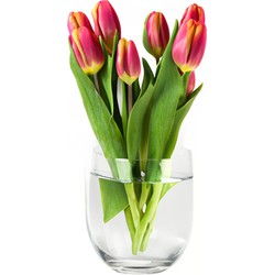 Bloemenvaas Karel - helder transparant glas - D27 x H27 cm - decoratieve vaas - bloemen/takken - Vazen