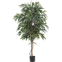 Hoyz Greenery - Kunstplant Longifolia Royaal 180 cm