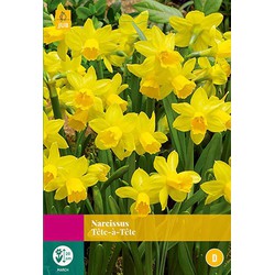 3 stuks - Narcissus Tete-a-Tete 20 bollen