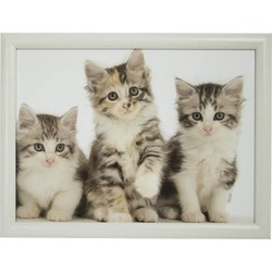 Mars & More schoottafel - 2x - katten print - 33 x 43 cm - laptray - Dienbladen