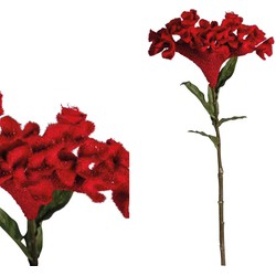 PTMD Celosia Kunstbloem - 40,5 x 25 x 80 cm - Rood