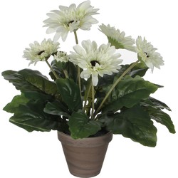 Mica Decorations Kunstplant - gerbera - wit - in pot - 35 cm - Kunstplanten