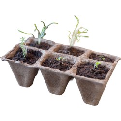 2 stuks - Turfpottrays H5x5x5cm set a 10 trays van 6 stuks