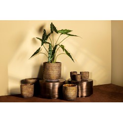 PTMD Vivienne Bloempot - 40x20x36 cm - Cement - Bruin