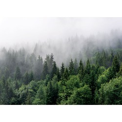 Sanders & Sanders fotobehang berglandschap met bomen groen - 3,75 x 2,7 m - 601166