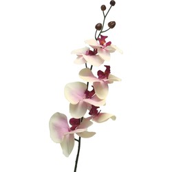 Bellatio Design Kunstbloem Orchidee Milan -wit/roze -78cm- losse steel - Kunstbloemen