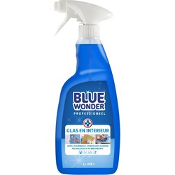 Professioneel Glas en Interieur-reiniger spray 1000 ml - HG