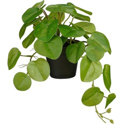 Mica Decorations Kunstplant Pilea - 40x22x23 cm - foam - Groen