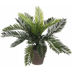 Groene Cycaspalm kunstplant 33 cm met zwarte pot - Kunstplanten