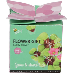 Grow gifts kweekset flower gift klavertje 4