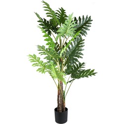 PTMD Leaves Plant green philodendron in black pot L