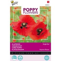 3 stuks - Poppies of the world klaproos rhoeas rood - Buzzy