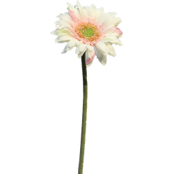 Daisy gerbera lt pink 48 cm kunstbloem - Nova Nature