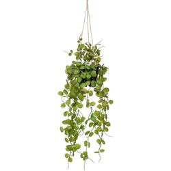 Ceropegia hanging bush 50 cm in pot kunstbloem zijde nepbloem