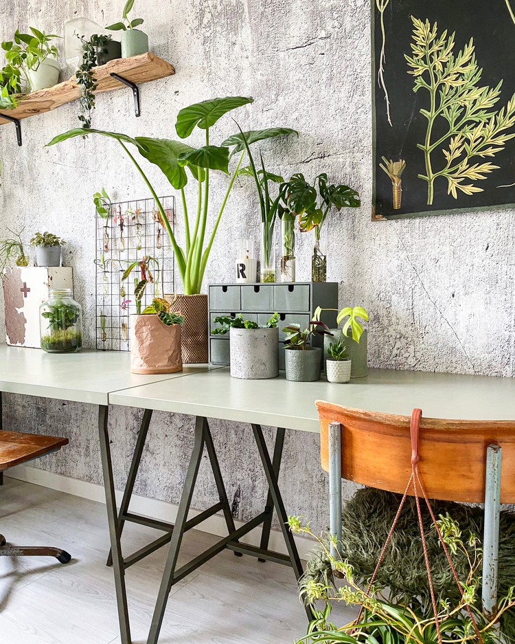 kamer met bureau vol planten