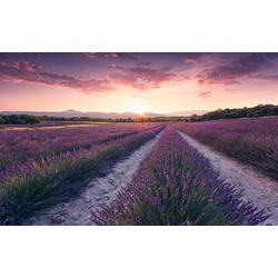 Sanders & Sanders fotobehang lavendel landschap pastel paars - 450 x 280 cm - 612638