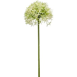 Emerald Allium/Sierui kunstbloem - losse steel - creme/groen - 62 cm - Natuurlijke uitstraling - Kunstbloemen