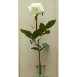 Künstliche Rose auf Stecker groß weiß - Warentuin Mix